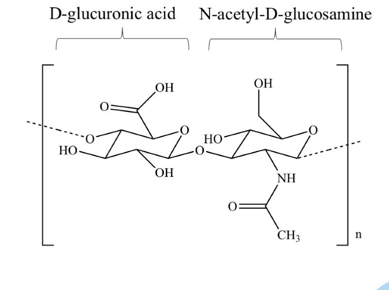 ACIDO IALURONICO (HA)  :1